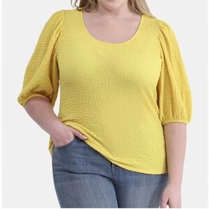 Terra & Sky 2X Crinkle Knit Top with Short Sleeves